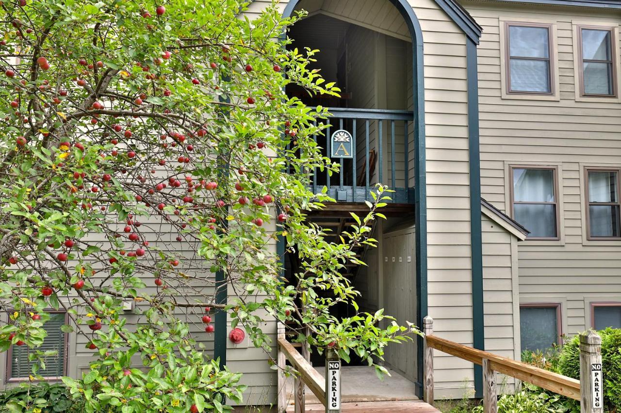 Winter Escape Apartment Ludlow Exterior foto